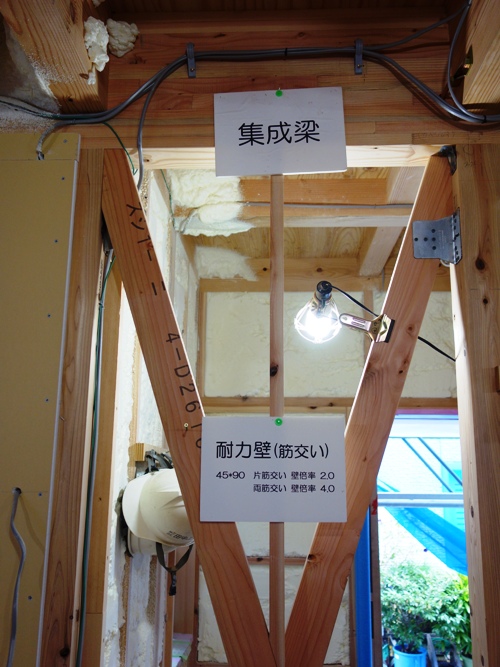 DSC02317
